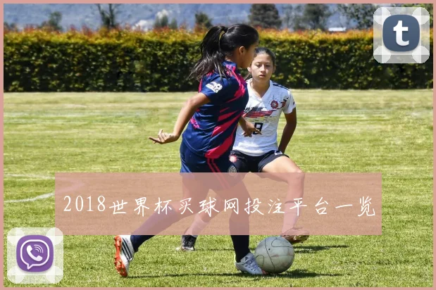 2018世界杯买球网投注平台一览