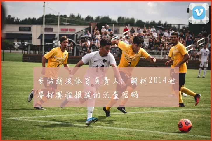 专访新浪体育负责人：解析2014世界杯赛程报道的流量密码