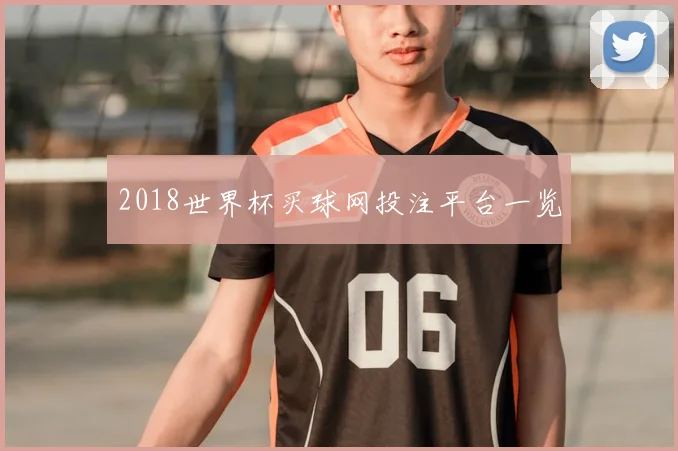 2018世界杯买球网投注平台一览