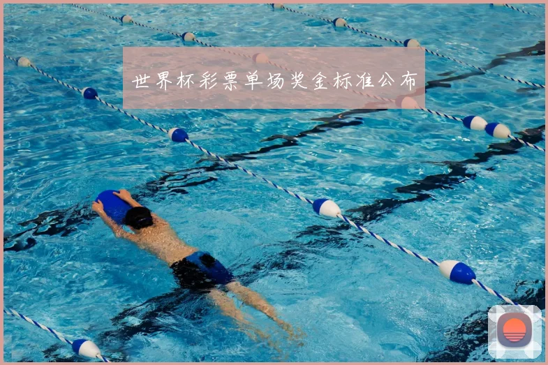 世界杯彩票单场奖金标准公布