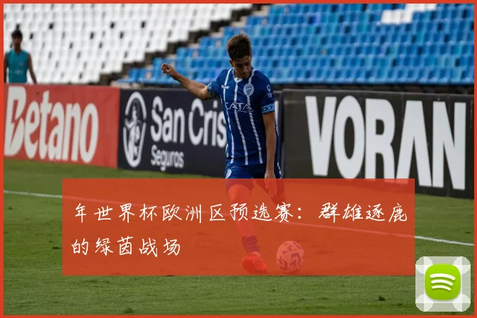 年世界杯欧洲区预选赛：群雄逐鹿的绿茵战场