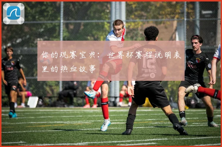 你的观赛宝典：世界杯赛程说明表里的热血故事