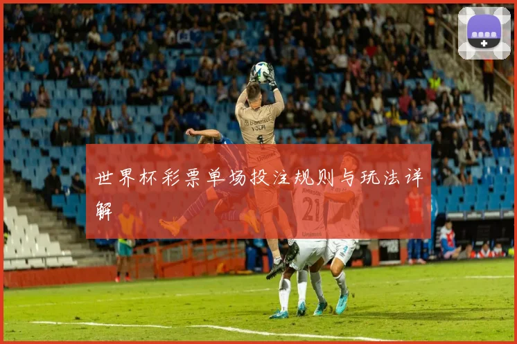世界杯彩票单场投注规则与玩法详解