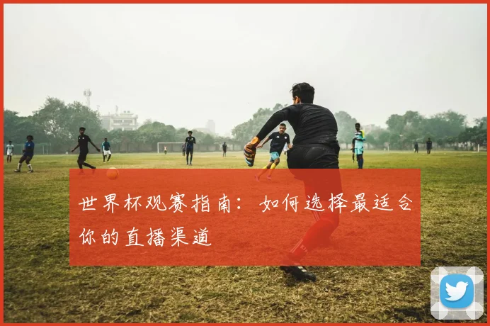 世界杯观赛指南：如何选择最适合你的直播渠道
