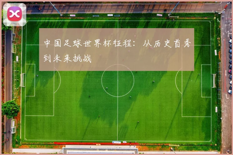 中国足球世界杯征程：从历史首秀到未来挑战