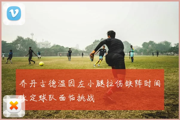 乔丹古德温因左小腿拉伤缺阵时间未定球队面临挑战
