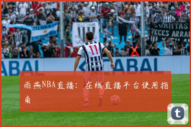 雨燕NBA直播：在线直播平台使用指南