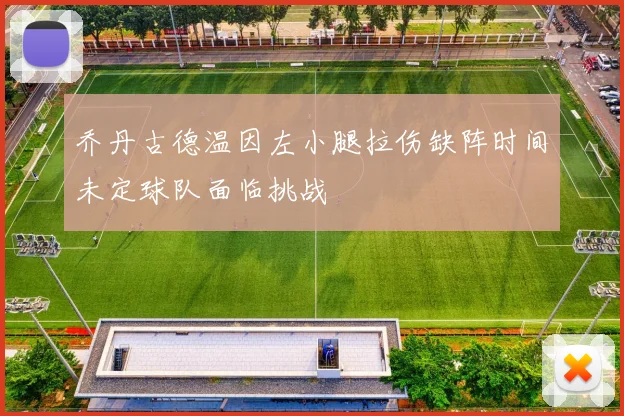 乔丹古德温因左小腿拉伤缺阵时间未定球队面临挑战