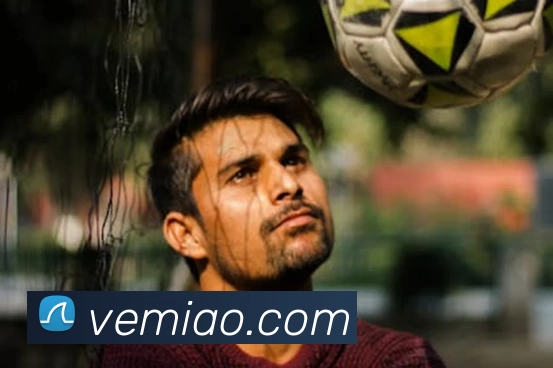 九游体育平台生态图